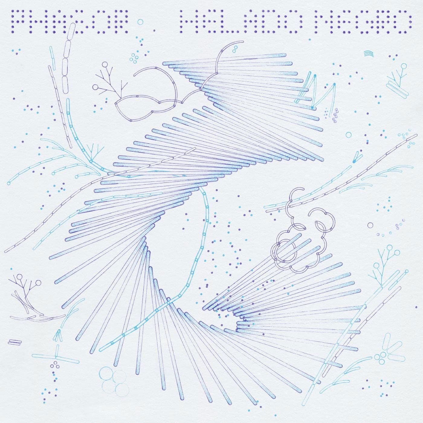 CD Helado Negro - PHASOR
