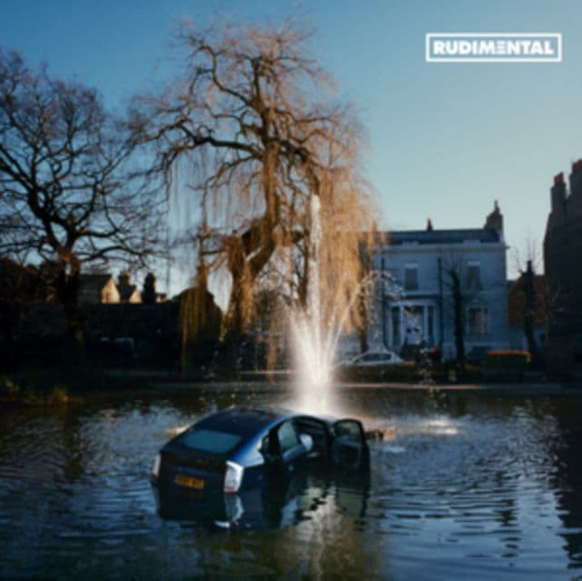 Vinyl Rudimental - Rudim3Ntal