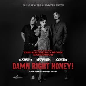 Vinyl Hillbilly Moon Explosion - DAMN RIGHT HONEY