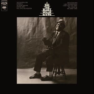 Vinyl - I AM THE BLUES