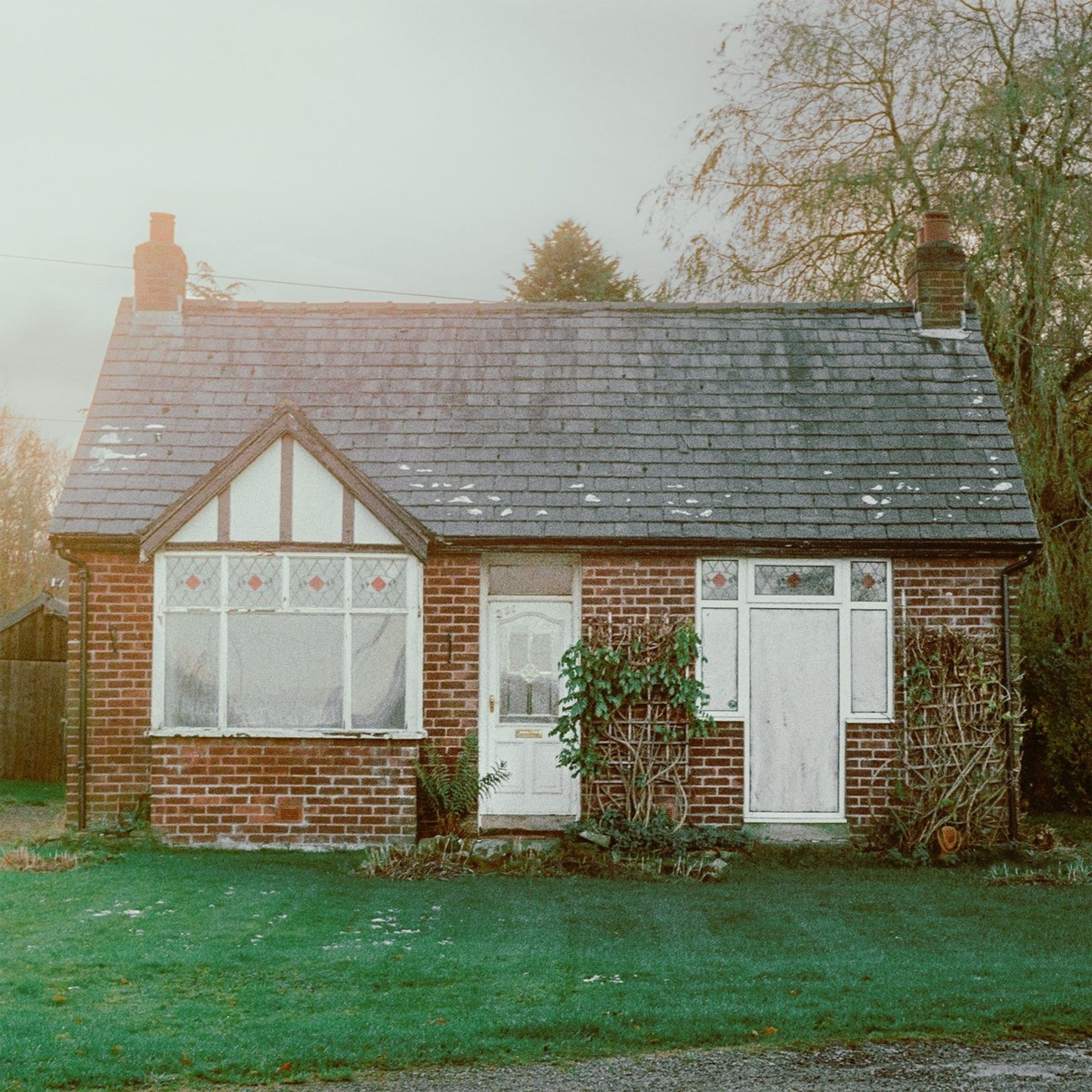 Vinyl Exploring Birdsong - EVERY HOUSE WE BUILT