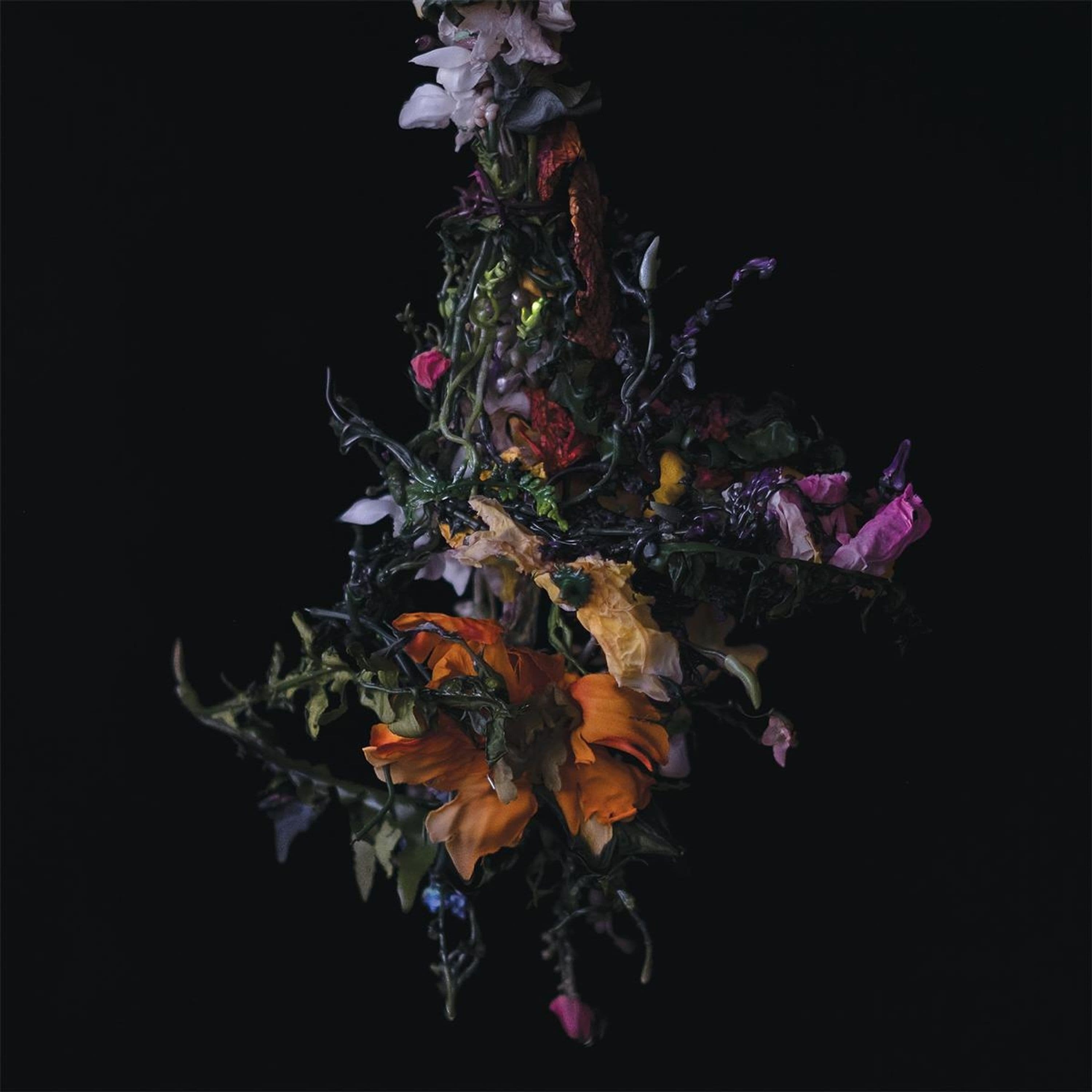Vinyl BIG|BRAVE - NATURE MORTE