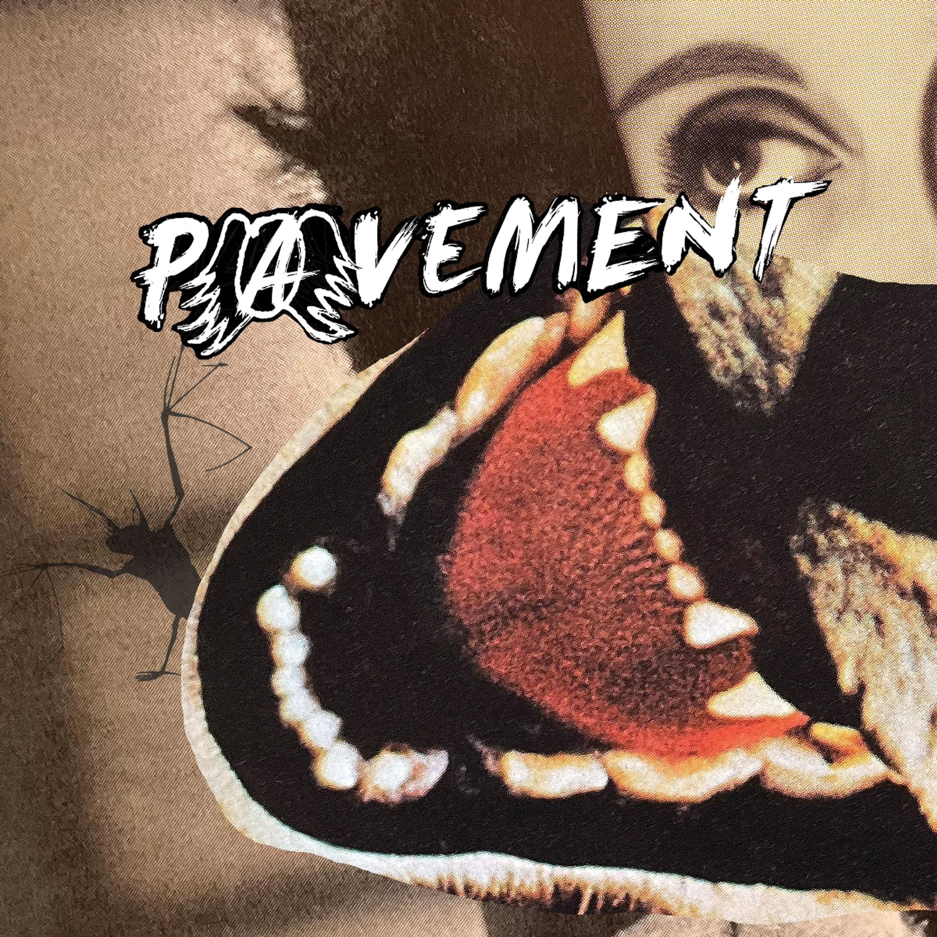 Vinyl Pavement - HECKLER S CHOICE: BIG GUMS AND HEAVY LIFTERS - A PAVEMENT COLLECTION