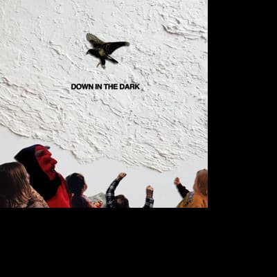 Vinyl Safe to Say - DOWN IN THE DARK