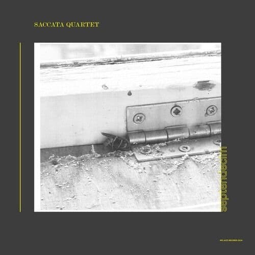 Vinyl Sacatta Quartet - SEPTENDECIM