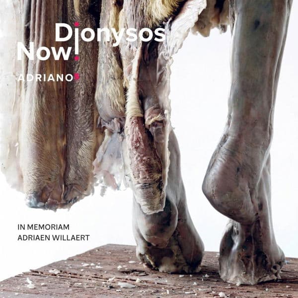 CD Dionysos Now! - ADRIANO 5