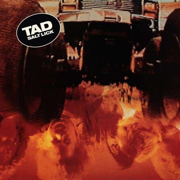 CD Tad - SALT LICK (DELUXE)
