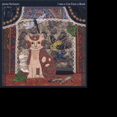 Vinyl James Yorkston - I WAS A CAT IN A BOOK -10"-