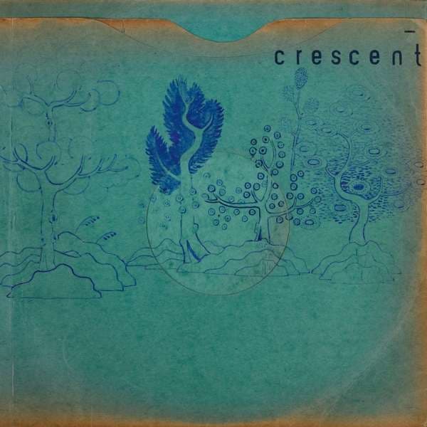 Vinyl Crescent - RESIN POCKETS