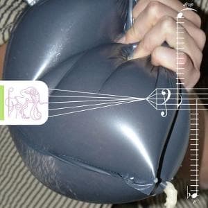 CD GROA - DROP P