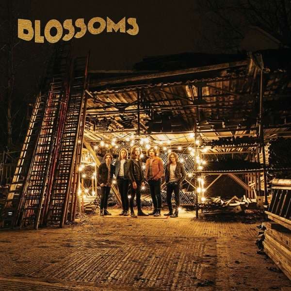 Vinyl Blossoms - BLOSSOMS