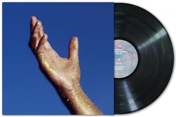 Vinyl Radicant - WE ASCEND