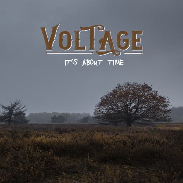 Vinyl Voltage - IT'S ABOUT TIME
