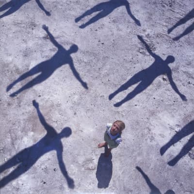 Vinyl Muse - ABSOLUTION