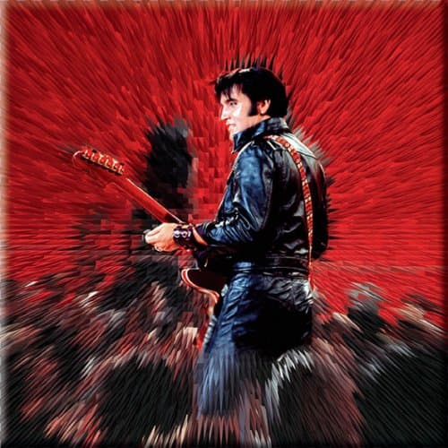 Magnetka Elvis Presley - Shine