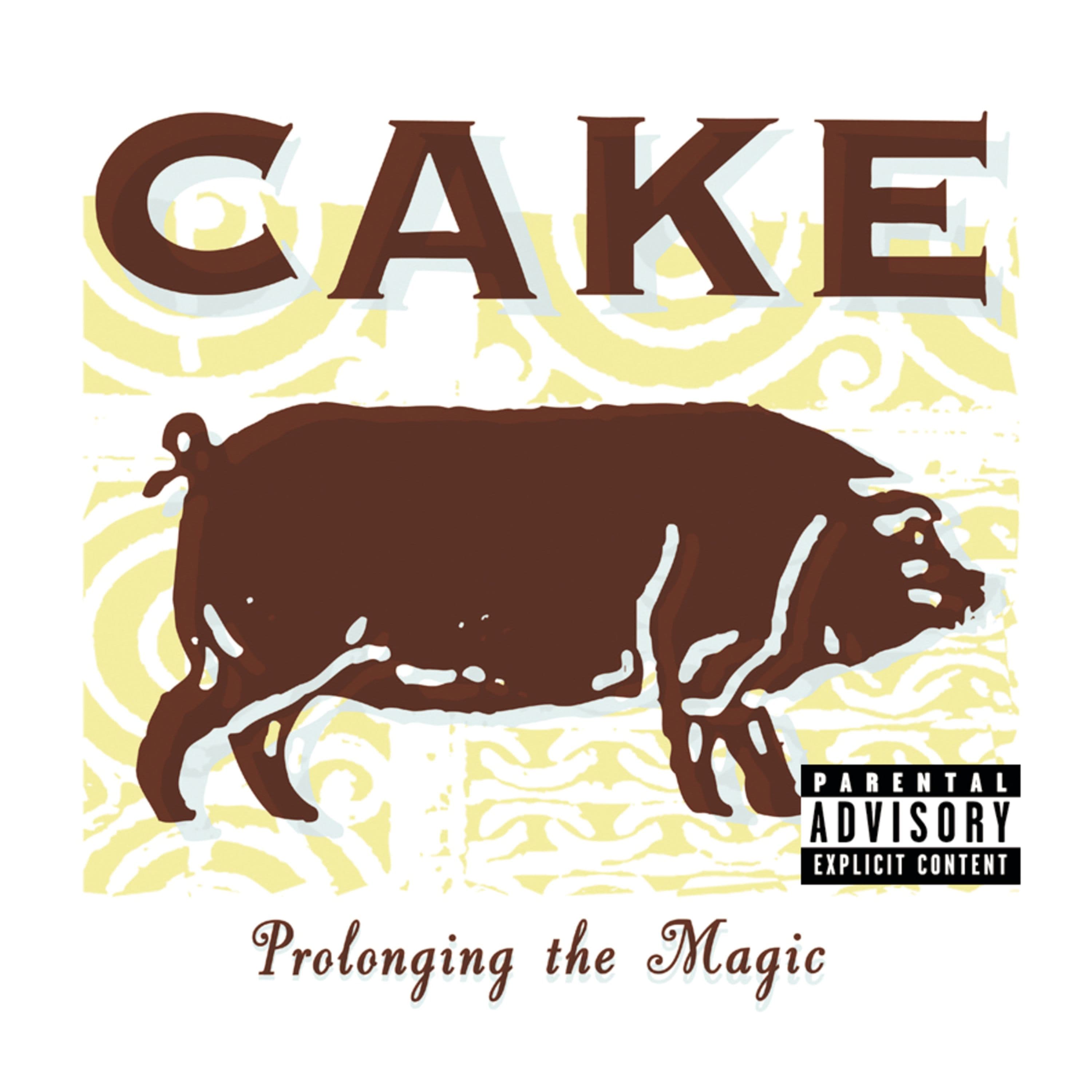 CD Cake - PROLONGING THE MAGIC
