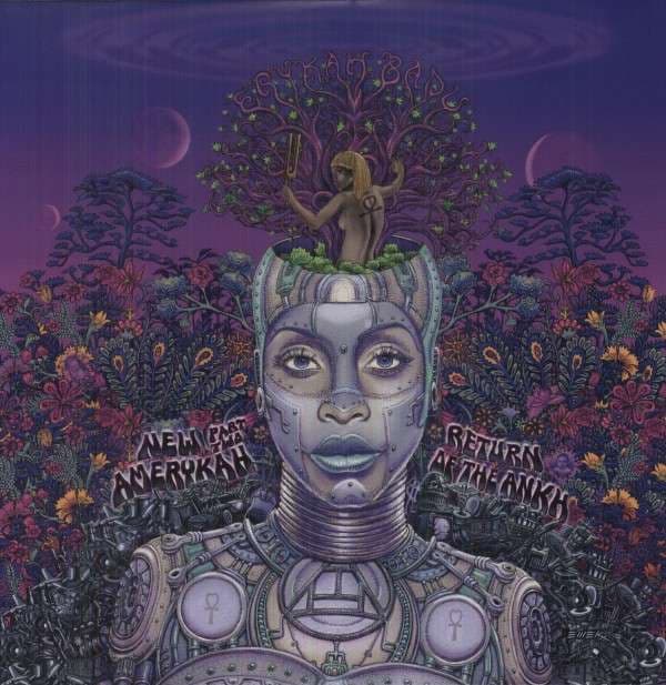 Vinyl Erykah Badu - NEW AMERYKAH PRT.2