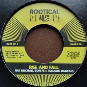 Vinyl Nat Birchall - 7-RISE AND FALL