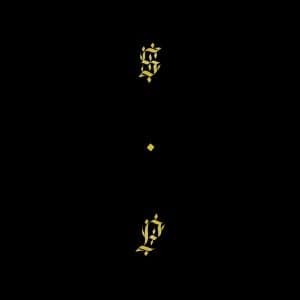 CD Shabazz Palaces - BLACK UP