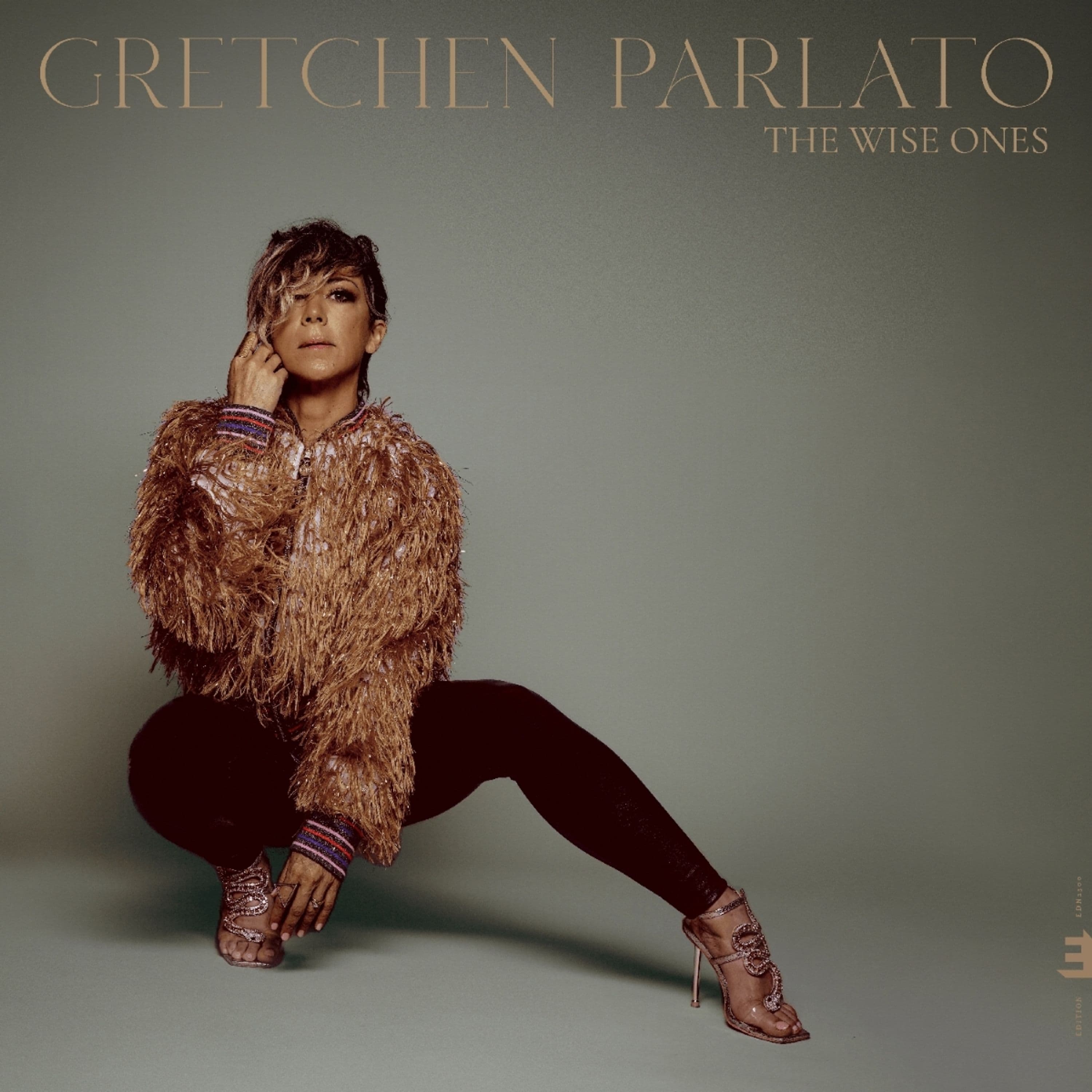 Vinyl Gretchen Parlato - WISE ONES