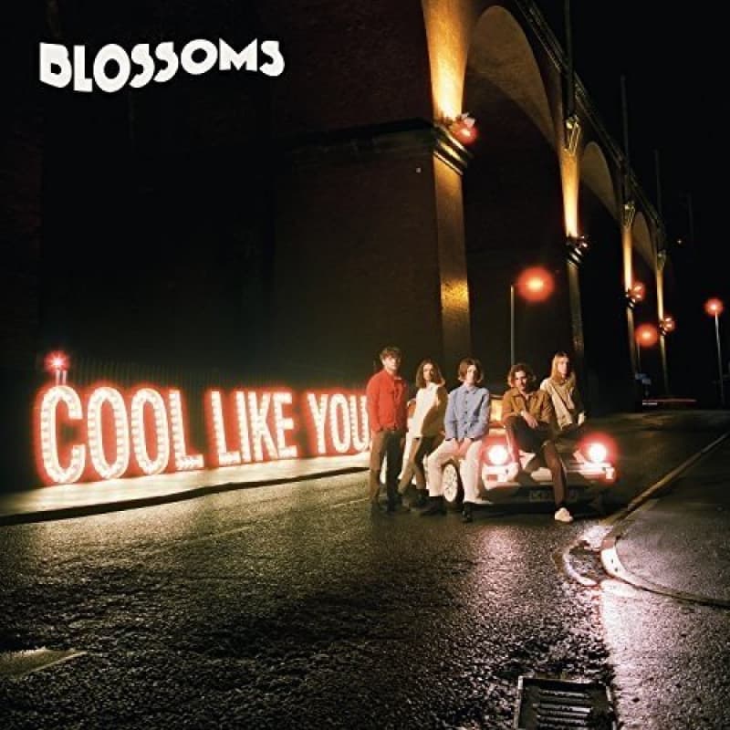 Vinyl Blossoms - COOL LIKE YOU