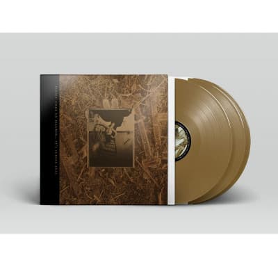 Vinyl Pixies - C'MON PILGRIM...IT'S SURFER ROSA