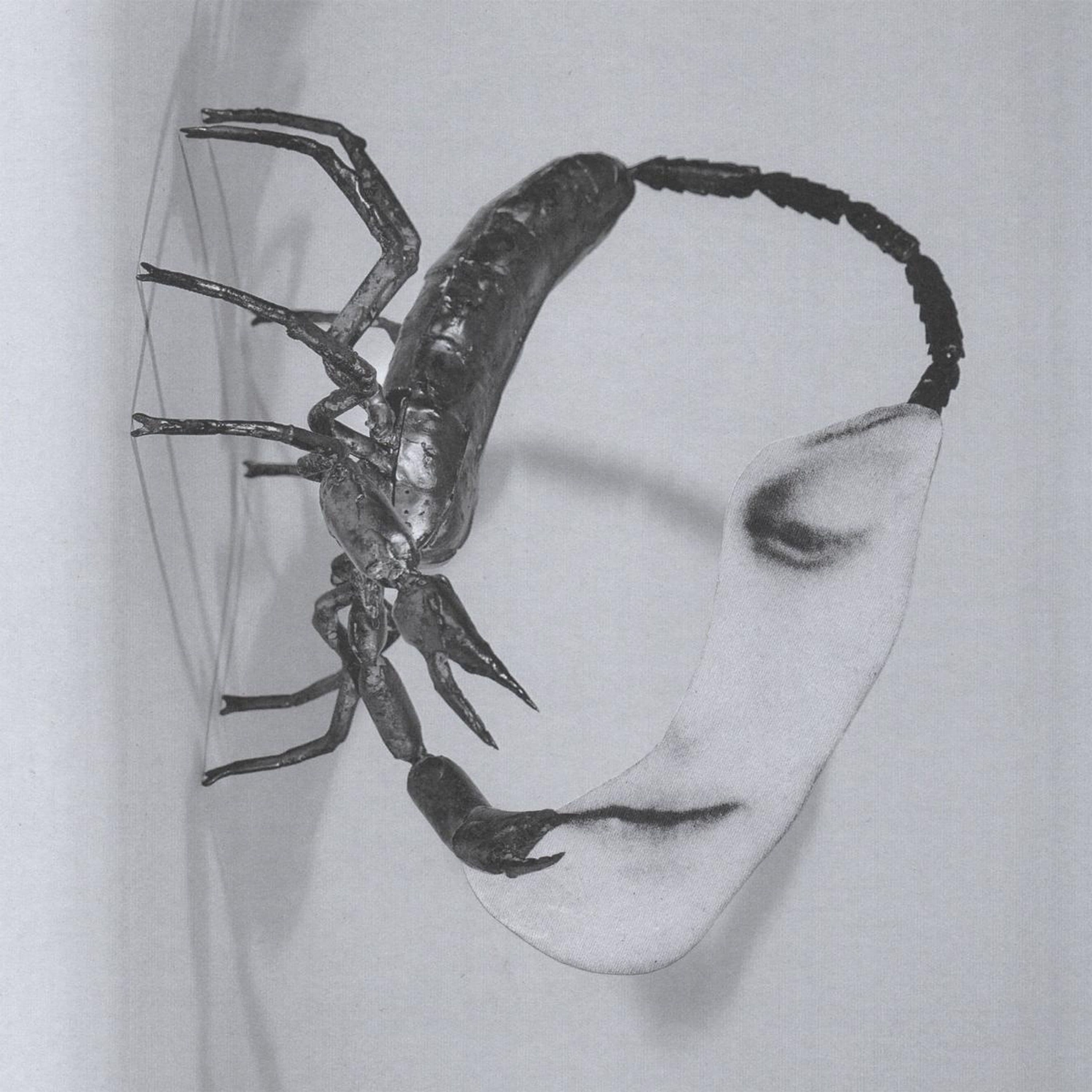 CD Tortoise - TOUCH