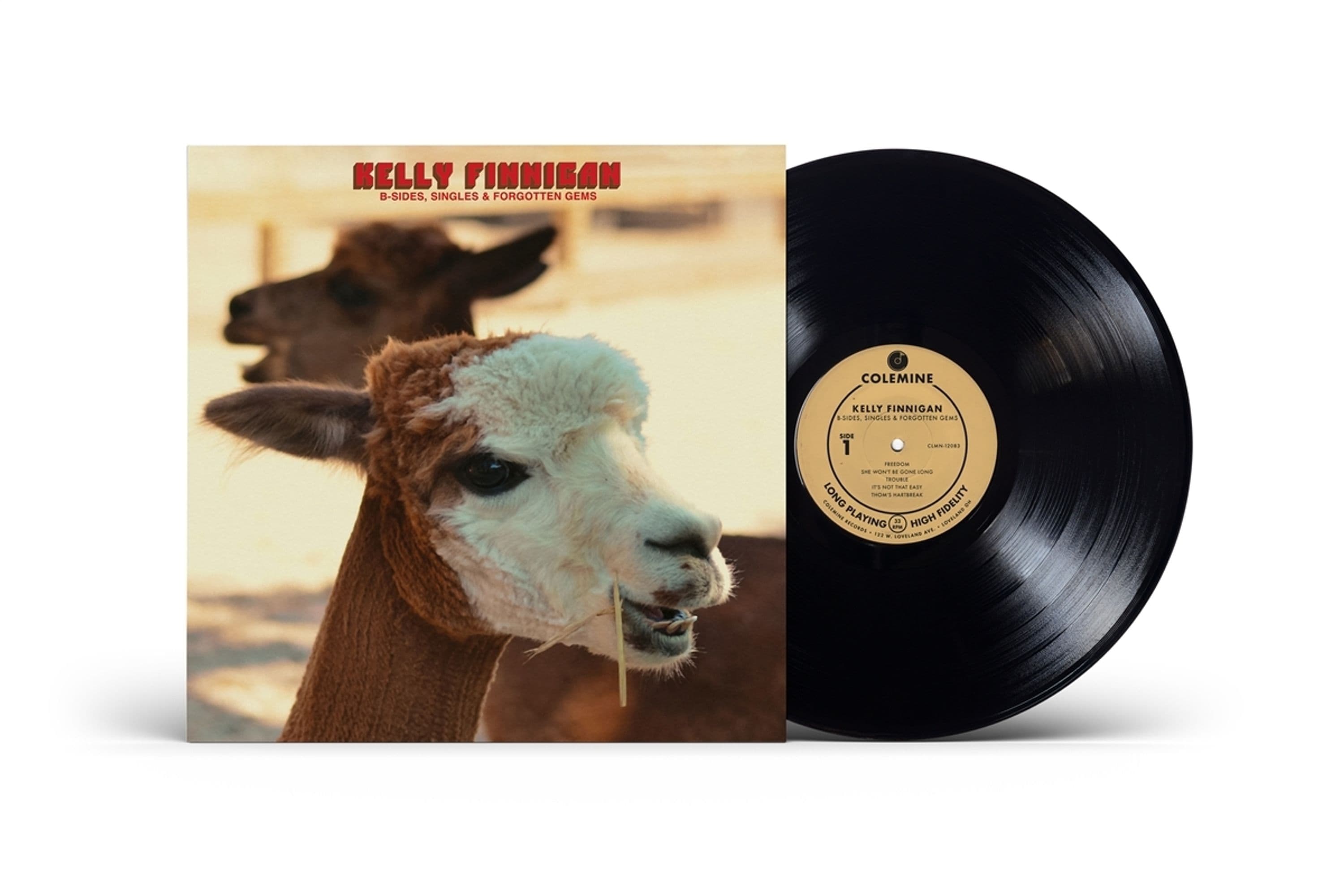 Vinyl Kelly Finnigan - B-SIDES, SINGLES &...