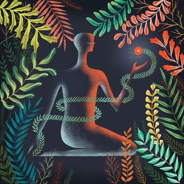 CD Loma - DON'T SHY AWAY