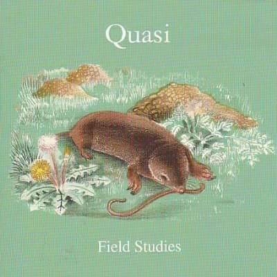 Vinyl Quasi - FIELD STUDIES