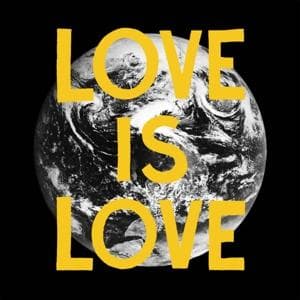 Vinyl The Woods - LOVE IS LOVE