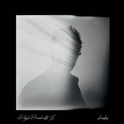 CD Doyle Bramhall II - SHADES