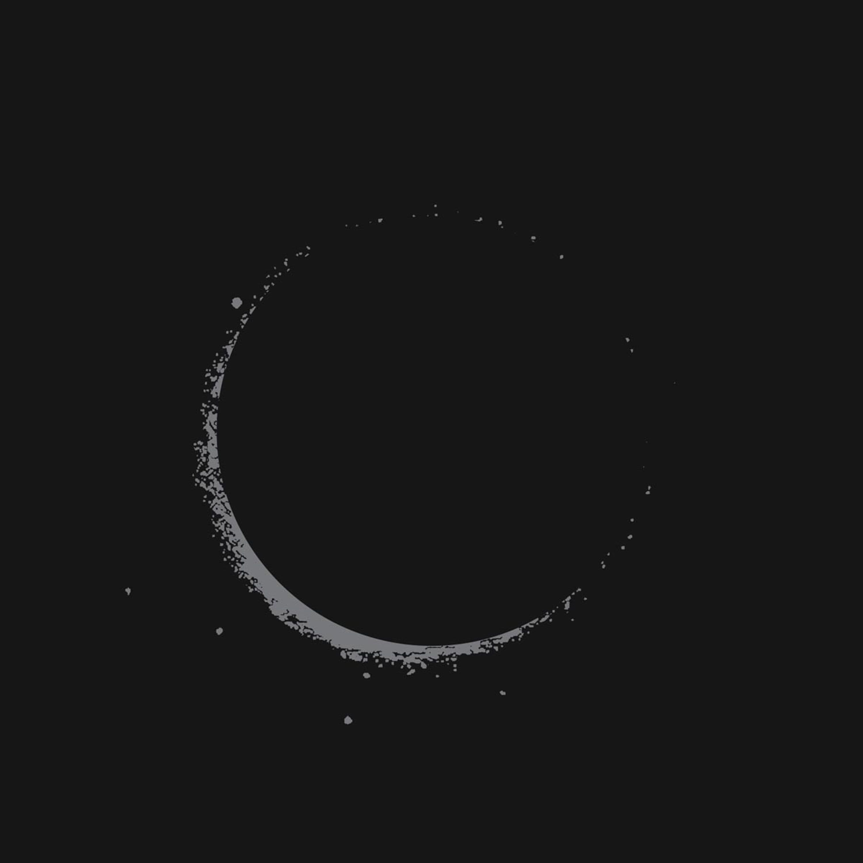 Vinyl Son Lux - LANTERNS