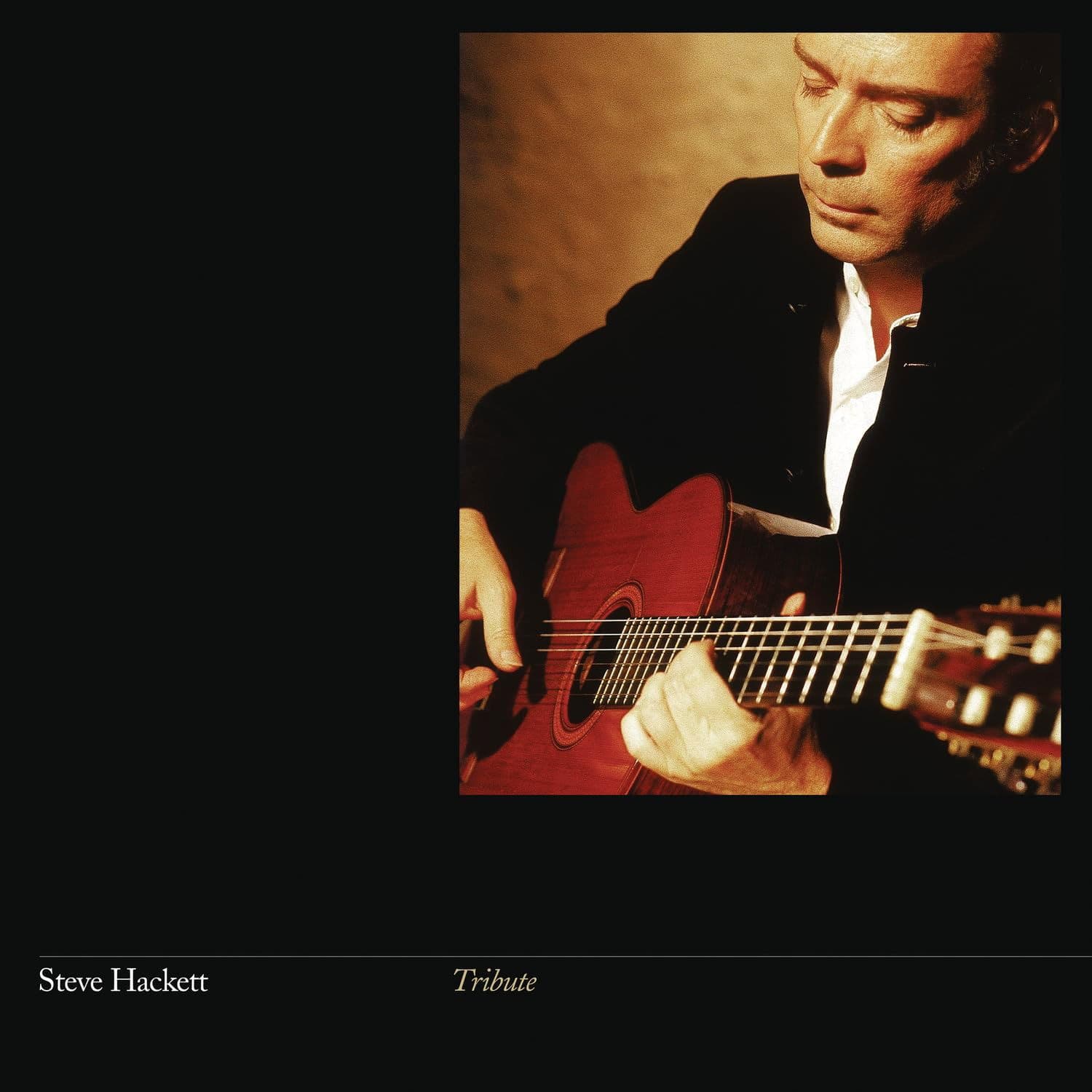 Vinyl Steve Hackett - Tribute (Vinyl Re-issue 2024)