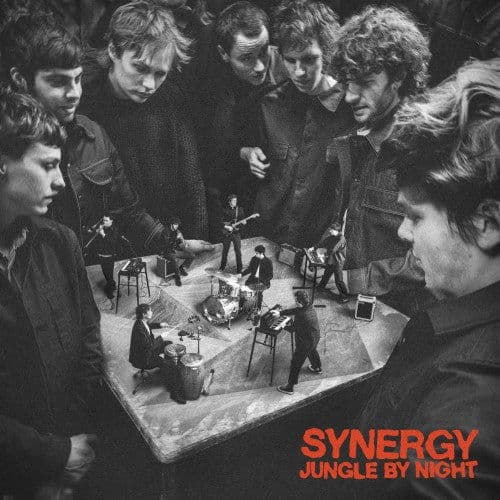 Vinyl Jungle by Night - SYNERGY