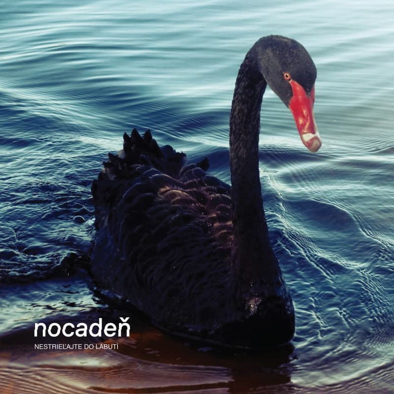 Vinyl Nocadeň - Nestrieľajte do labutí