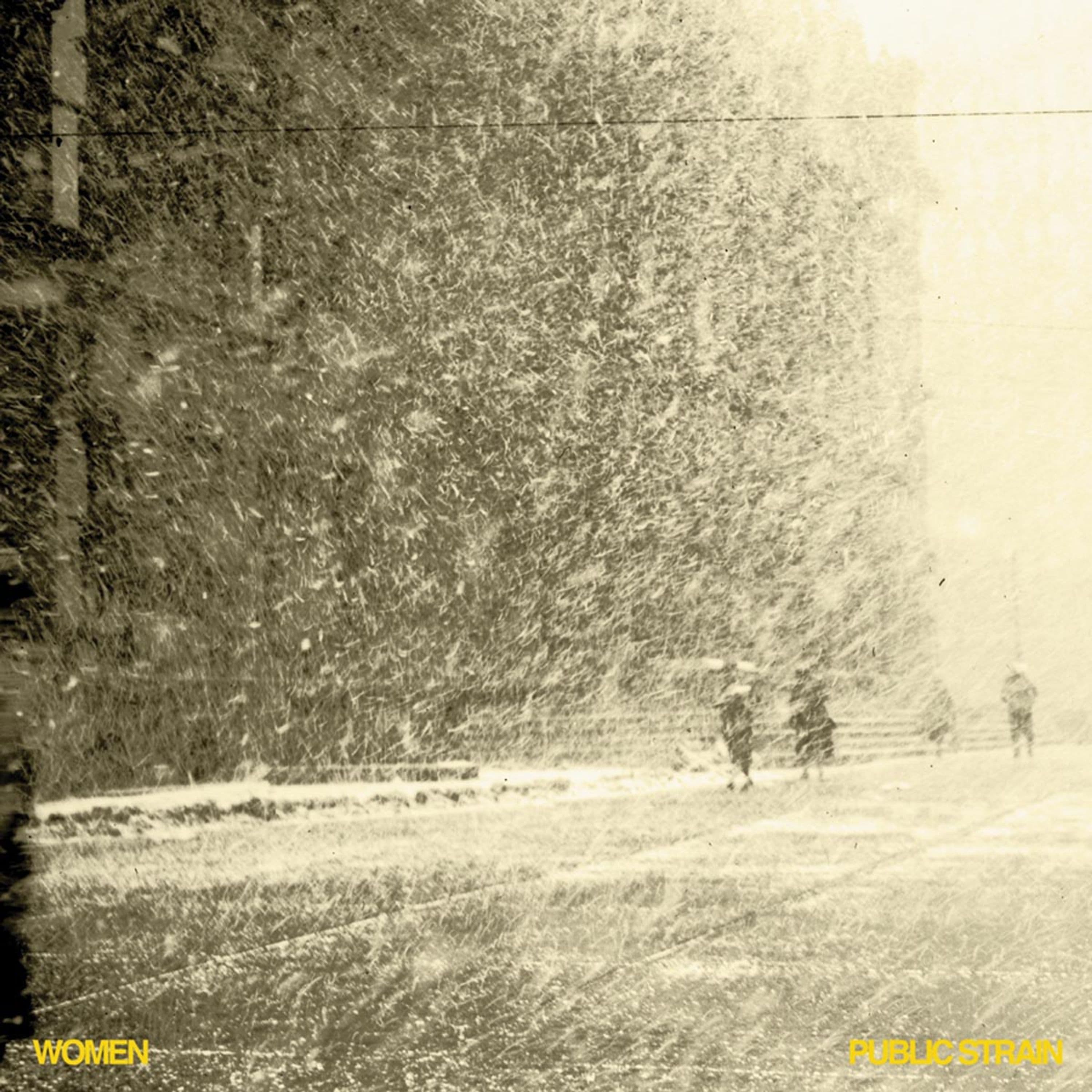 Vinyl Women - PUBLIC STRAIN