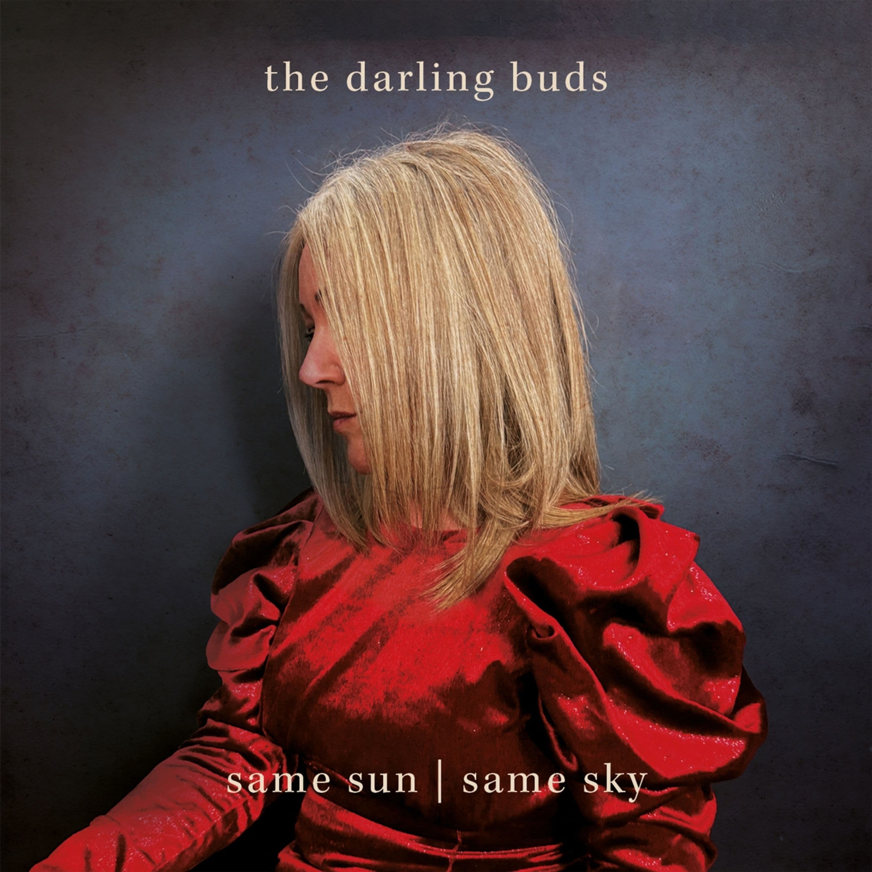 Vinyl The Darling Buds - SAME SUN / SAME SKY