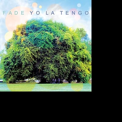 Vinyl Yo La Tengo - FADE
