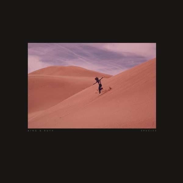CD Bing & Ruth - SPECIES
