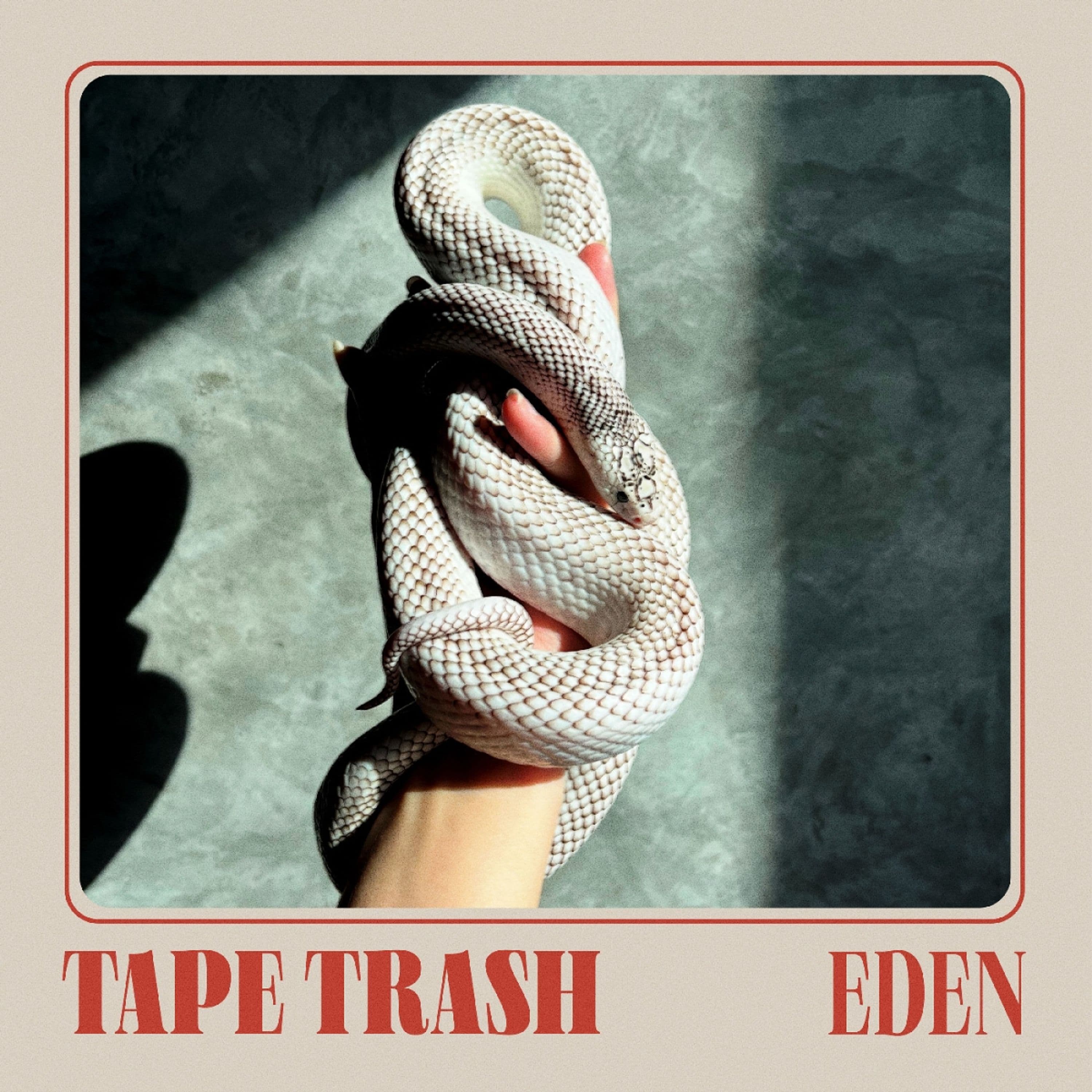 Vinyl TAPE TRASH - EDEN