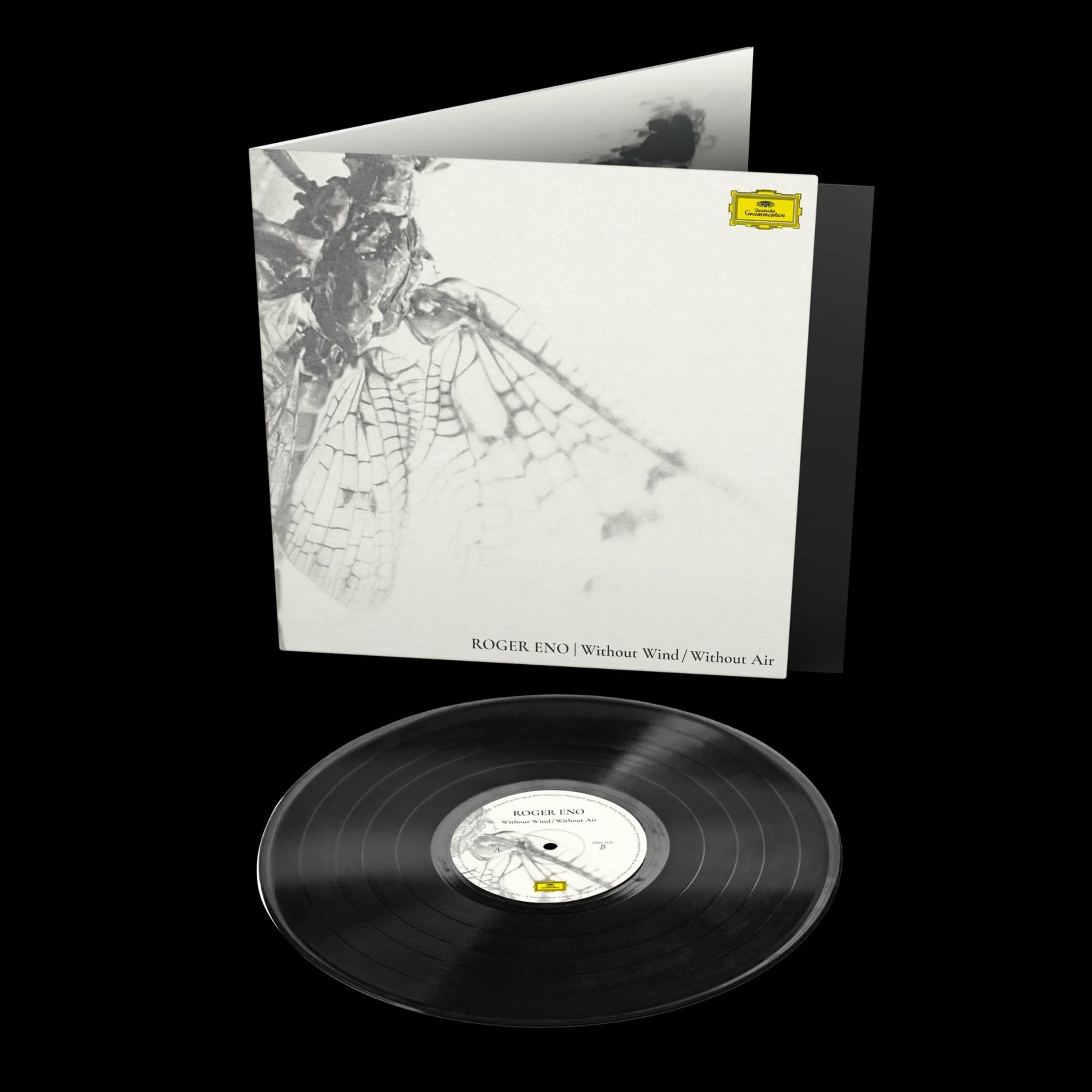 Vinyl Roger Eno - WITHOUT WIND, WITHOUT AIR