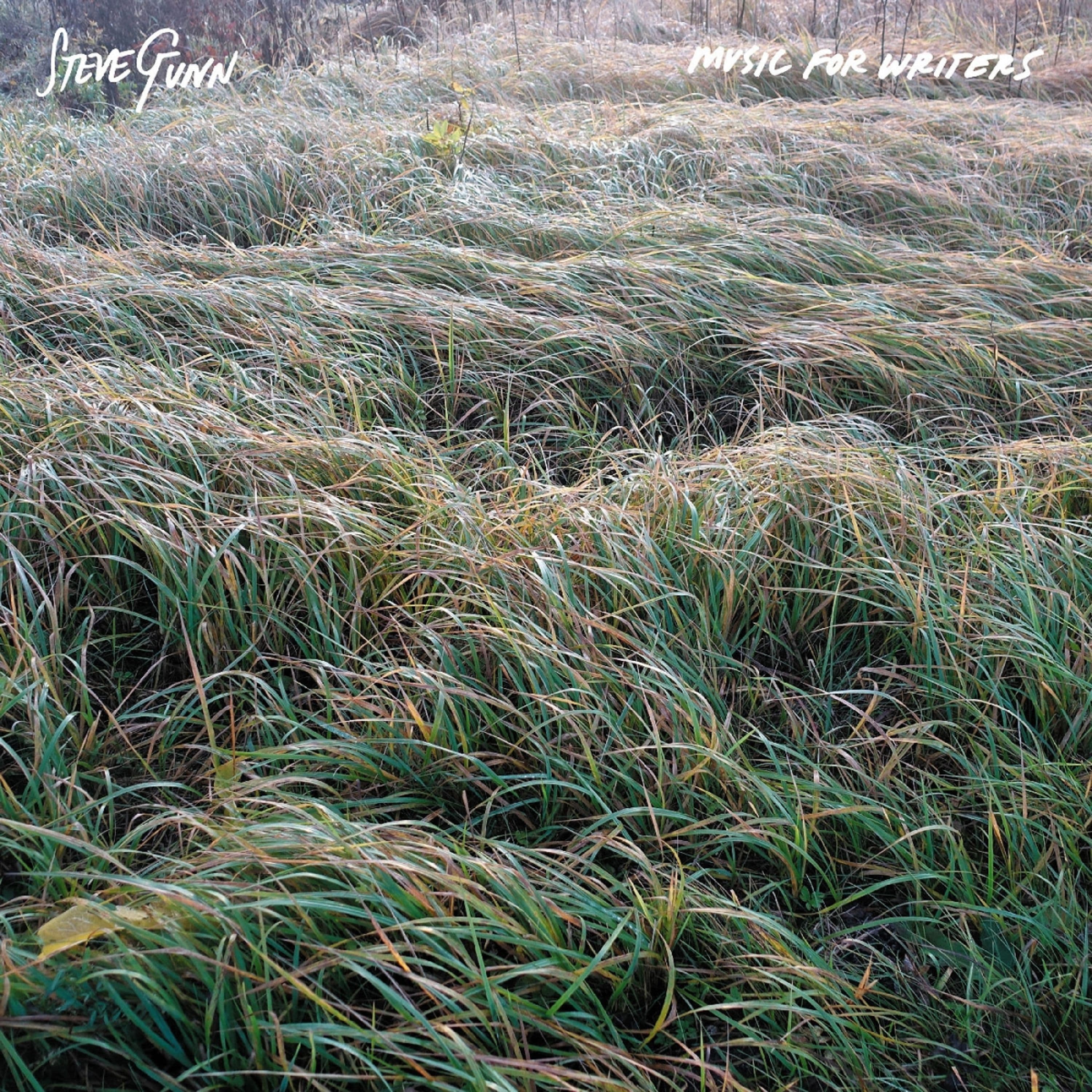 Vinyl Steve Gunn - MUSIC FOR WRITERS