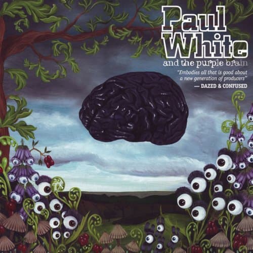 CD Paul White - PAUL WHITE & THE PURPLE BRAIN