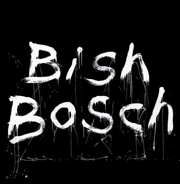 CD Scott Walker - BISH BOSCH