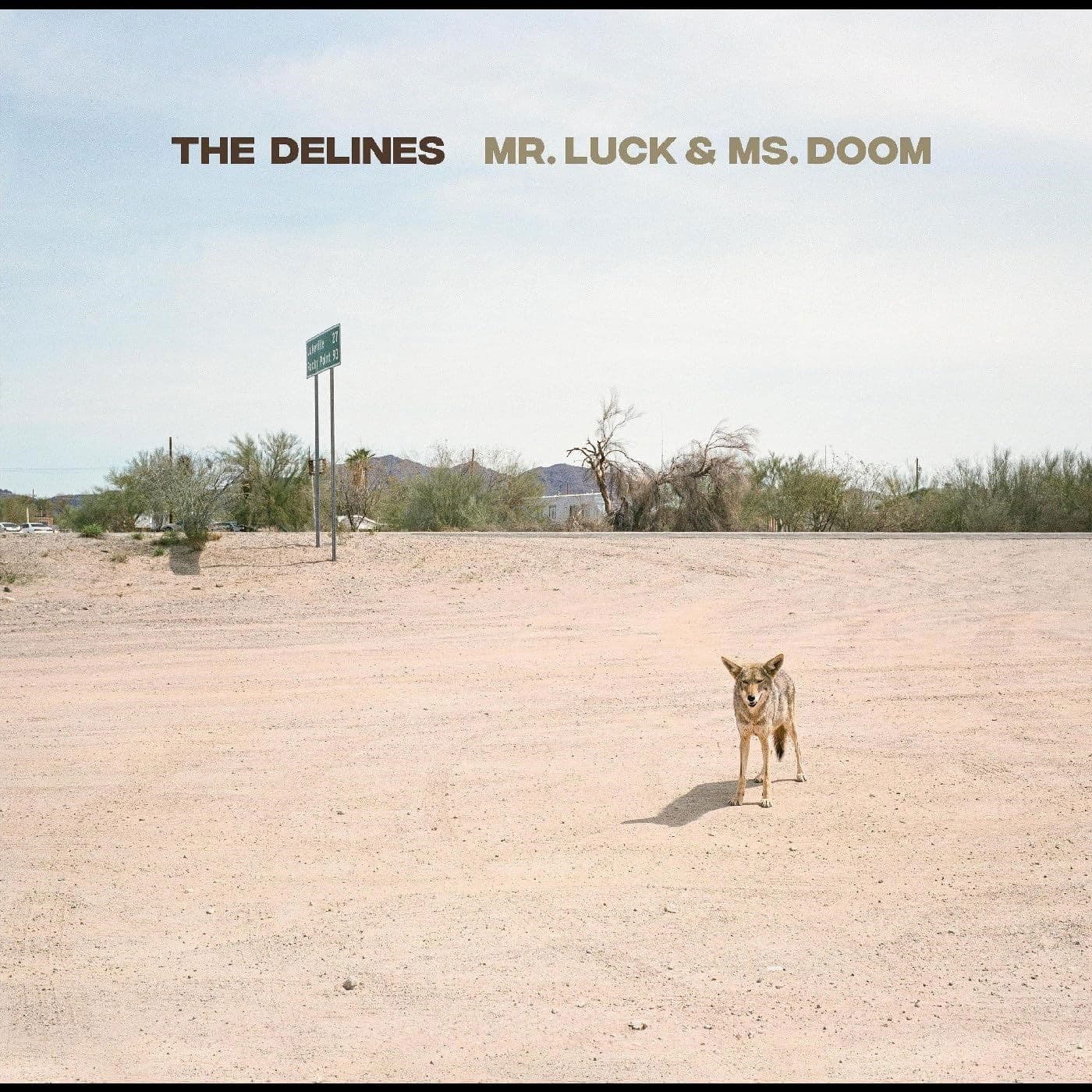 Vinyl The Delines - MR. LUCK & MS. DOOM