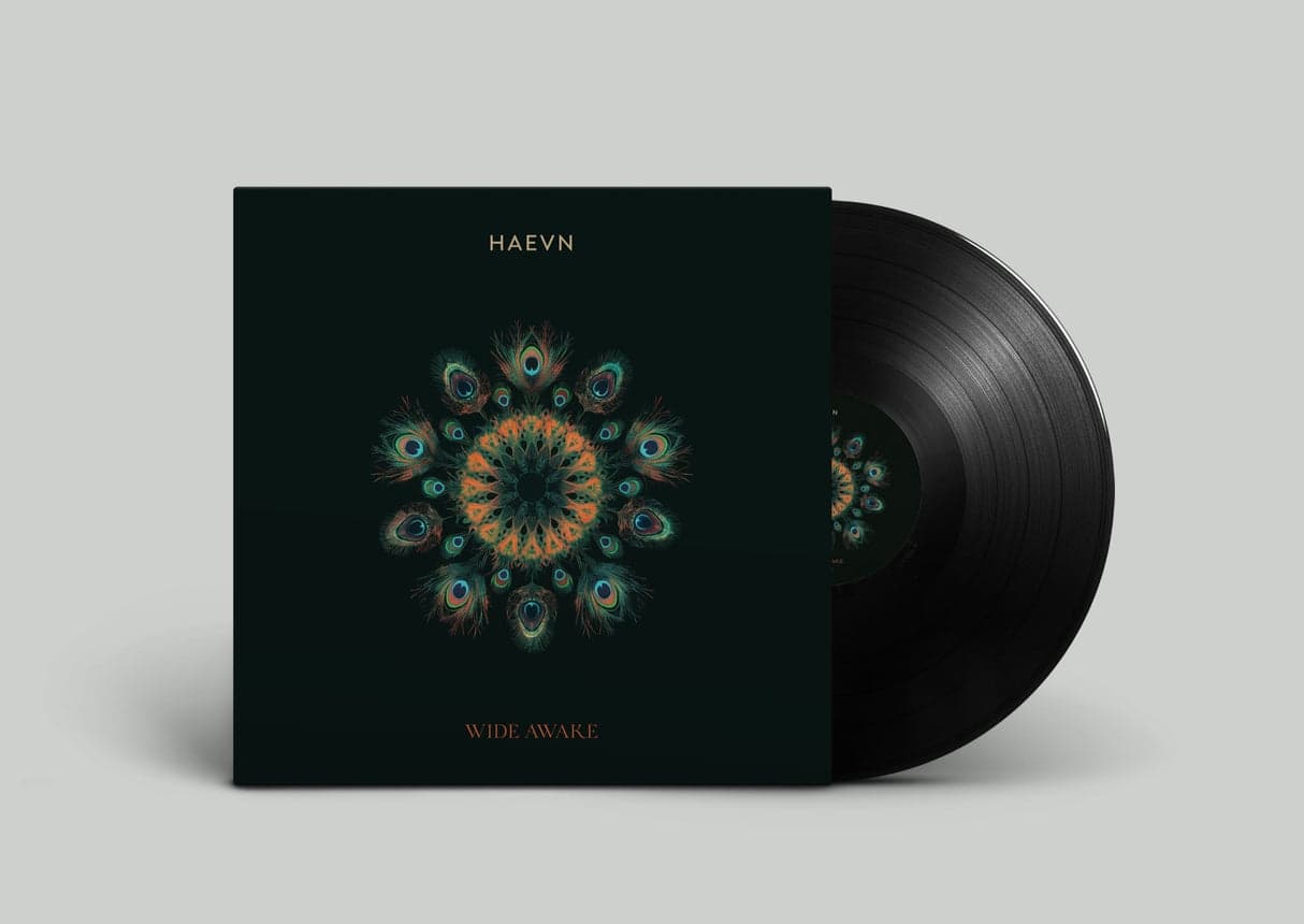 Vinyl HAEVN - WIDE AWAKE