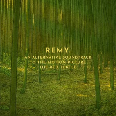 CD Remy van Kesteren - RED TURTLE