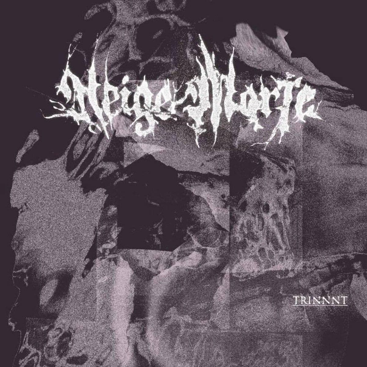 CD Neige Morte - TRINNNT
