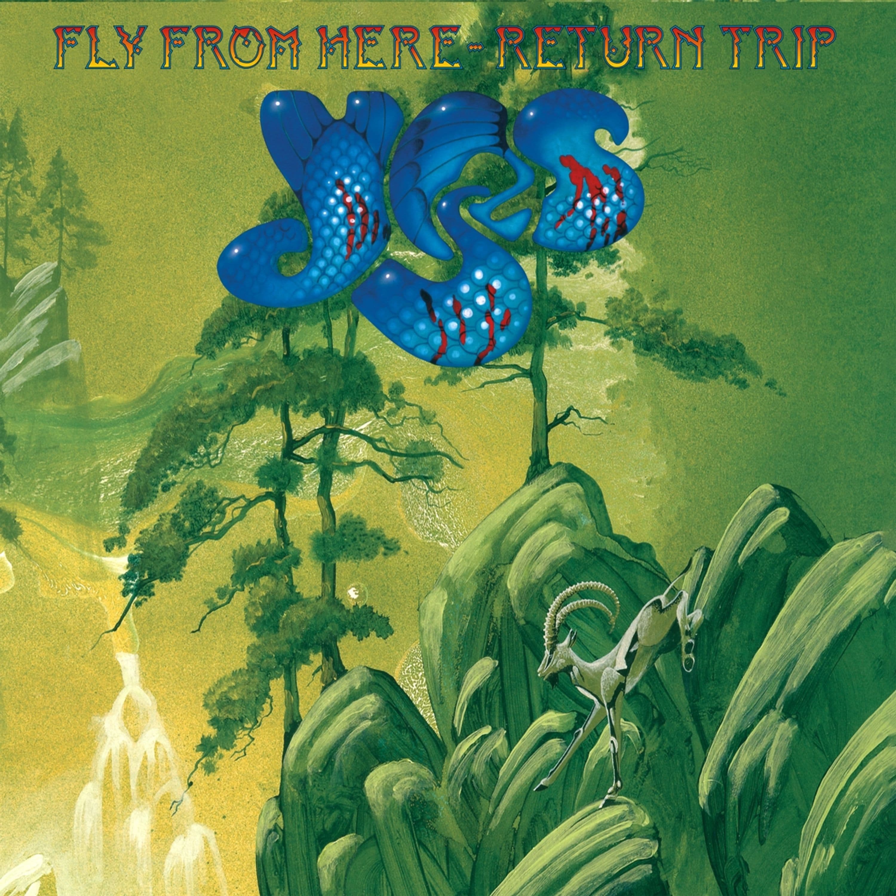 Vinyl Yes - FLY FROM HERE (RETURN TRIP)